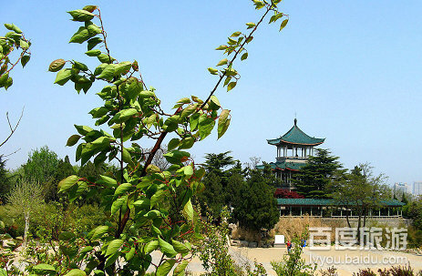 烟台5