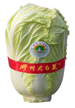 胶州大白菜1