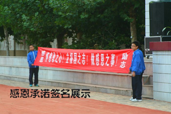 感恩承诺签名展示