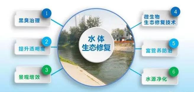 微信图片_20190716105642